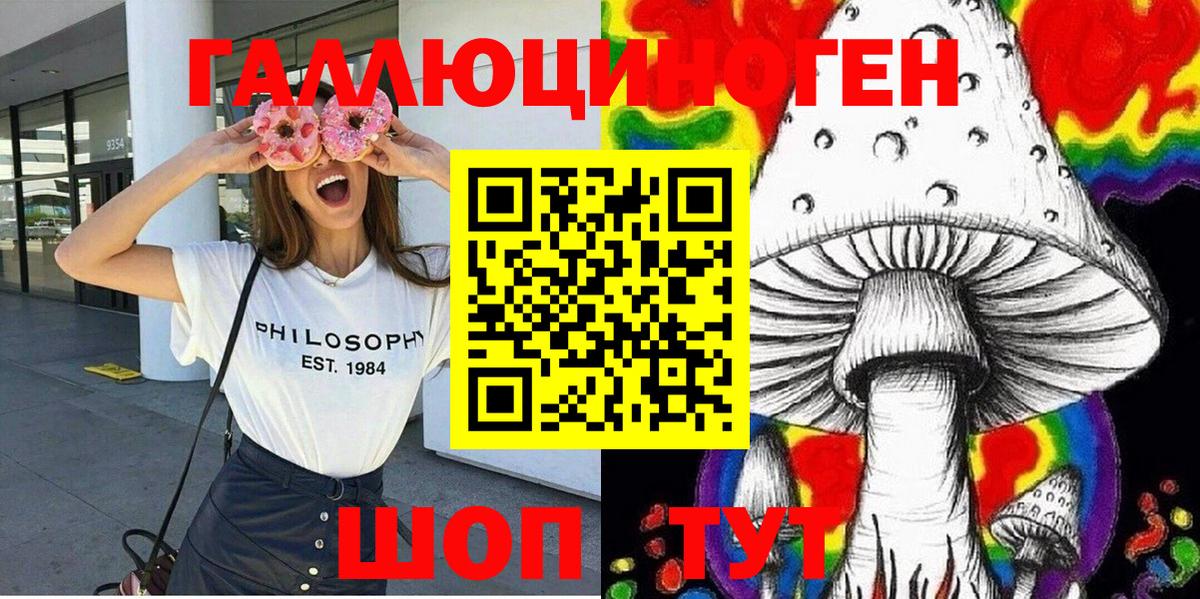Псилоцибиновые грибы мицелий Мурино