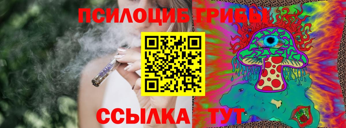 Мурино  где можно купить наркотик  Вход с VPN  Галлюциногенные грибы MAGIC MUSHROOMS 
